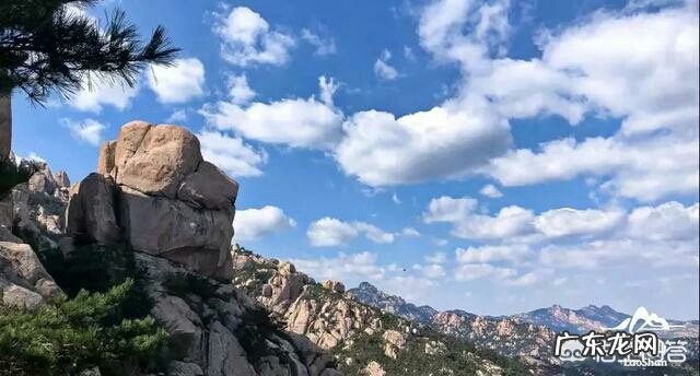 孙悟空为什么大闹天宫？