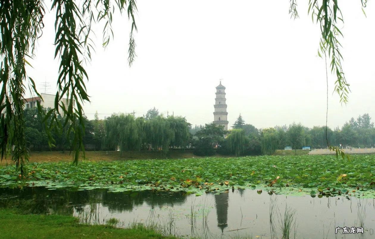 阜城最好的楼盘 阜阳哪里有看风水出名的