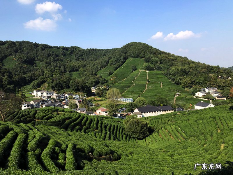 人到中年,如何释放生活的压力?