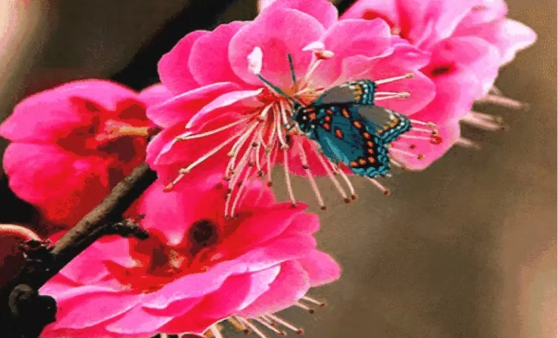 夫妻关系怎么能像谈恋爱一样长久的维持下去?