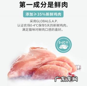 麦富迪猫粮到底怎么样 麦富迪鲜肉猫粮怎么样好吃吗