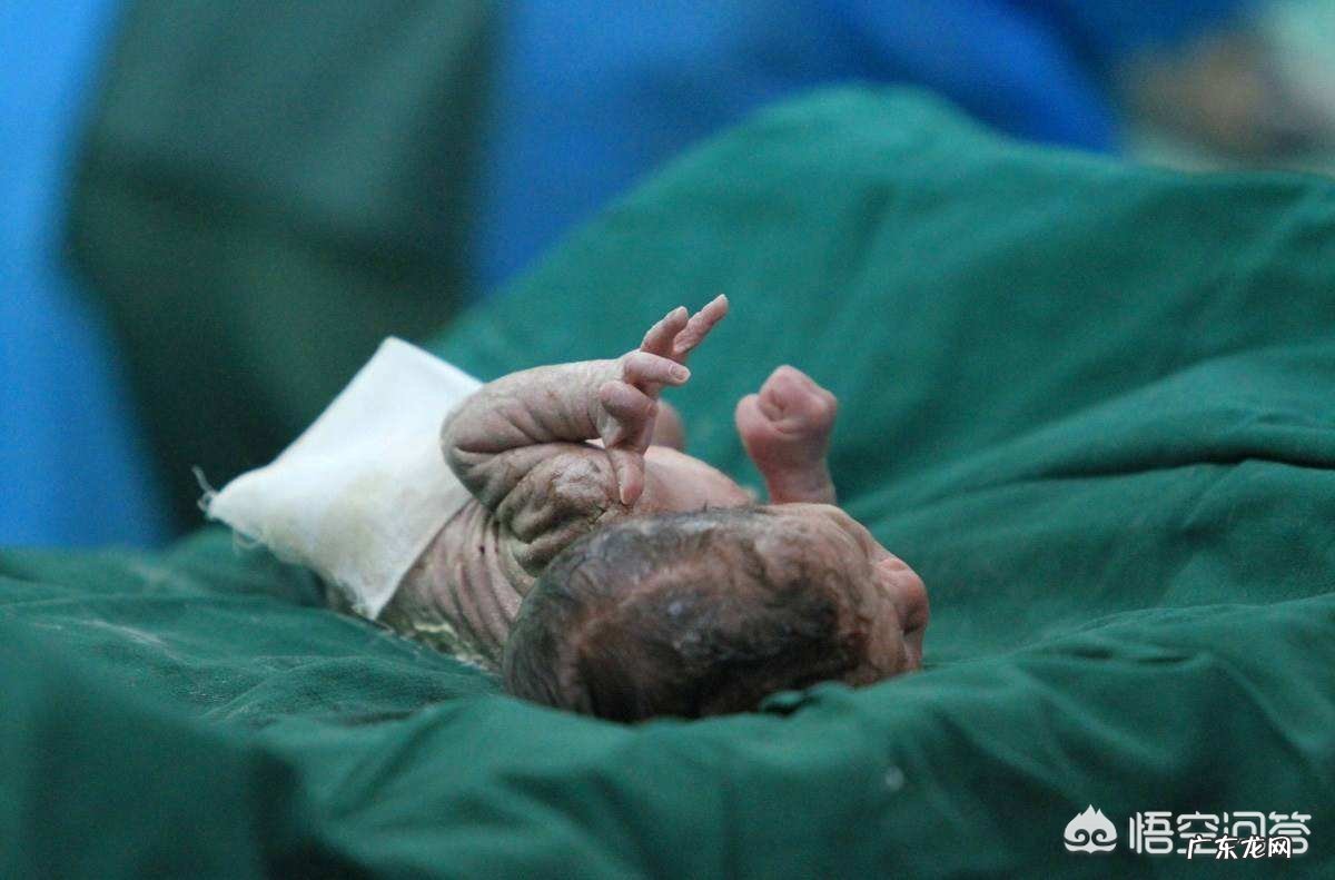 你都知道哪些母婴育儿的冷知识？