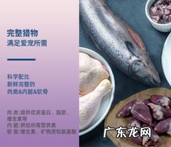优基猫粮是天然粮吗 优基生骨肉猫粮怎么样