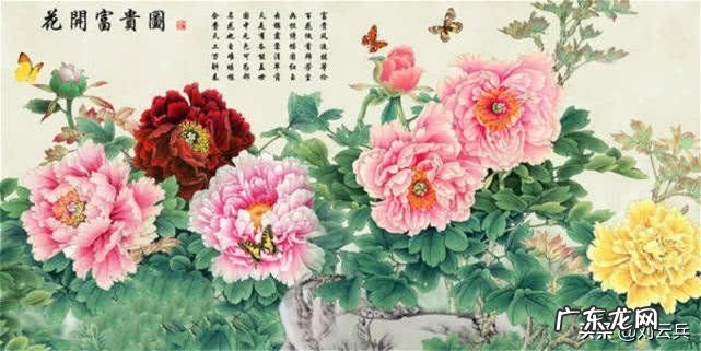 年画中的动物和植物都有什么?有什么象征意义?