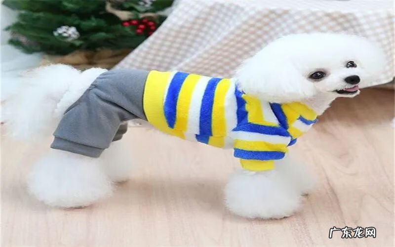 什么产品家庭作坊就可以生产 家庭作坊式创业项目