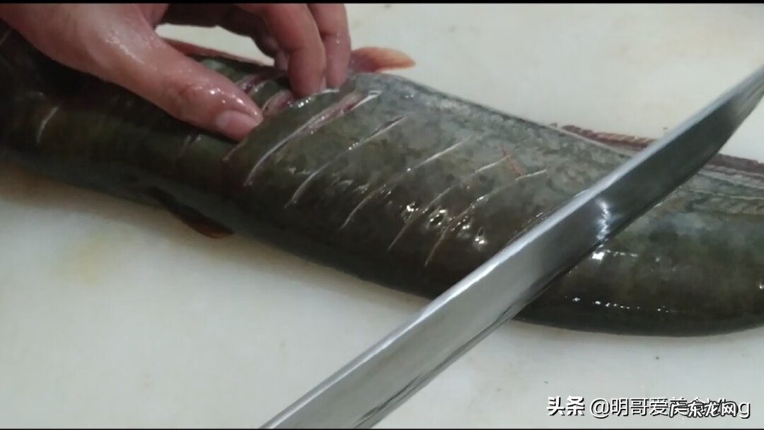 家常清炖鲶鱼的做法 鲶鱼炖茄子的做法大全