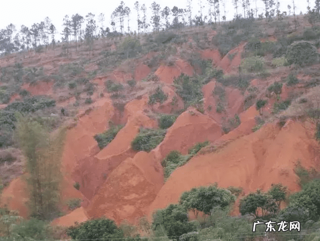 上海中心风水 上海风水现象