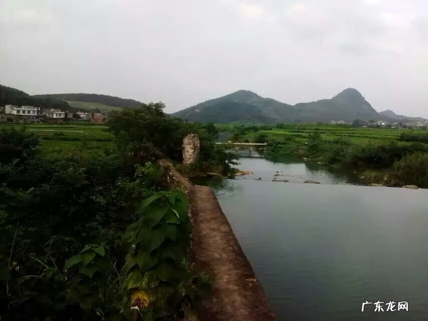 三两以上塘角鱼价格 风水塘角鱼地穴能出什么人才