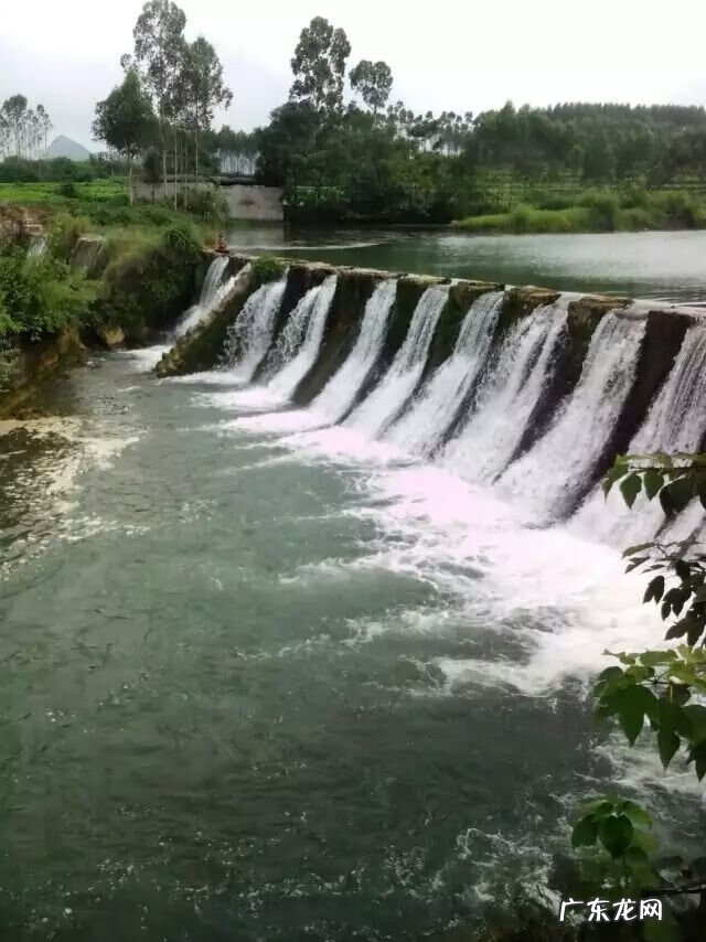 三两以上塘角鱼价格 风水塘角鱼地穴能出什么人才