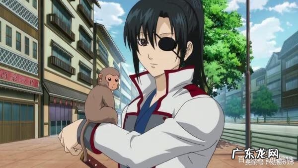 银魂柳生九兵卫 柳生九兵卫