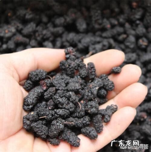 桑葚干怎么吃效果最好 桑葚干有营养吗