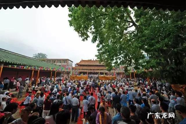 信宜市最好风水留题地 信宜一最出名的风水大师