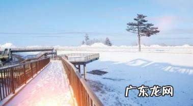 2022年数九从哪一天开始到哪一天结束 2022入冬后什么时候开始数九