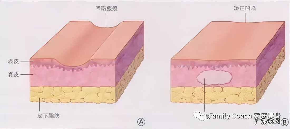 运动营养师 运动营养师培训教程