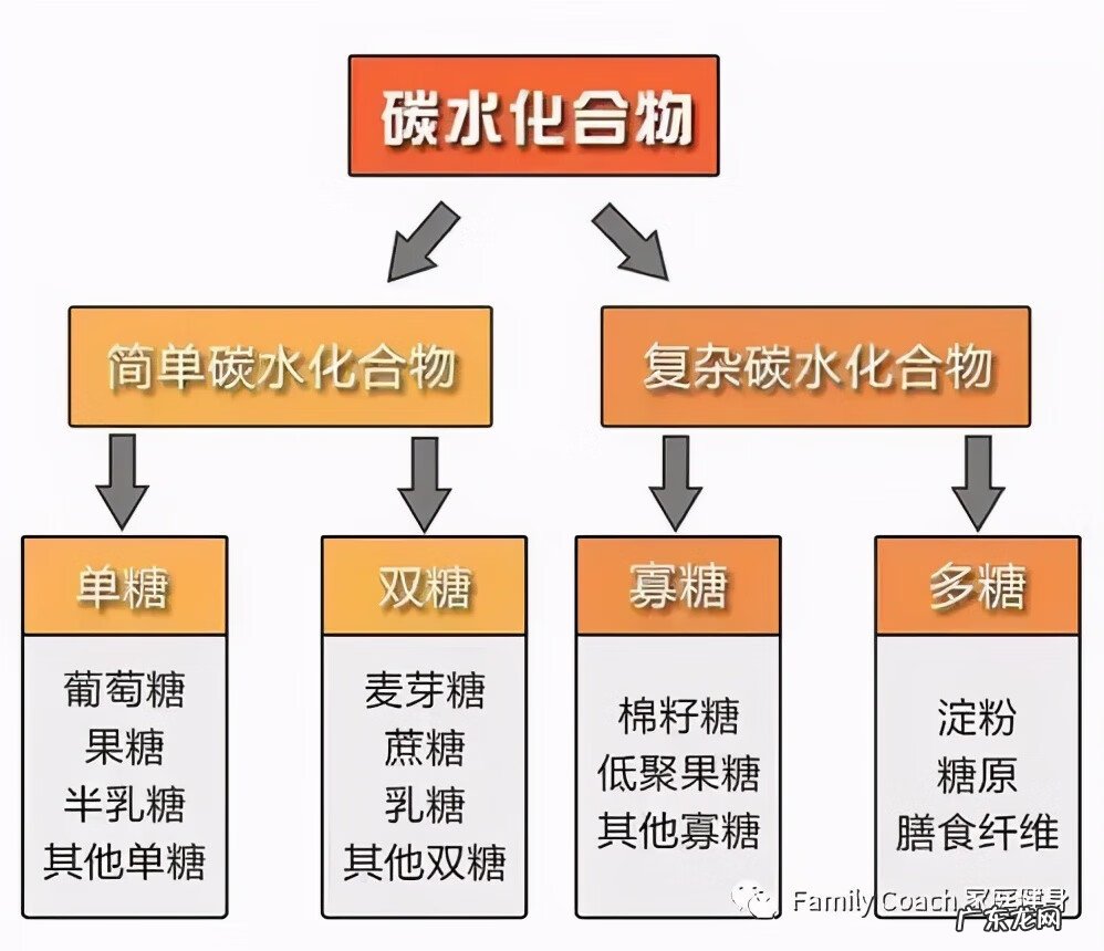 运动营养师 运动营养师培训教程