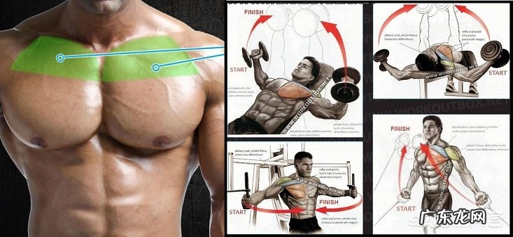 如何练胸肌？
