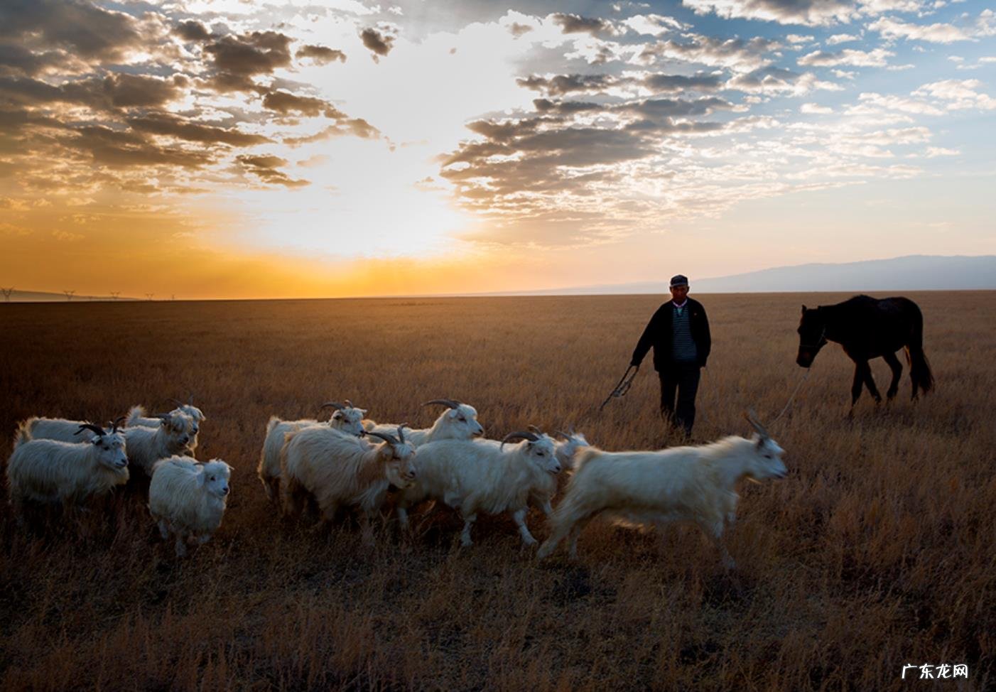 为什么哈萨克族被称为世界上唯一没有乞丐的民族?