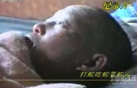 你遇到过蛇正在蜕皮的吗？为什么老人说遇见蛇蜕皮有不妙呢？