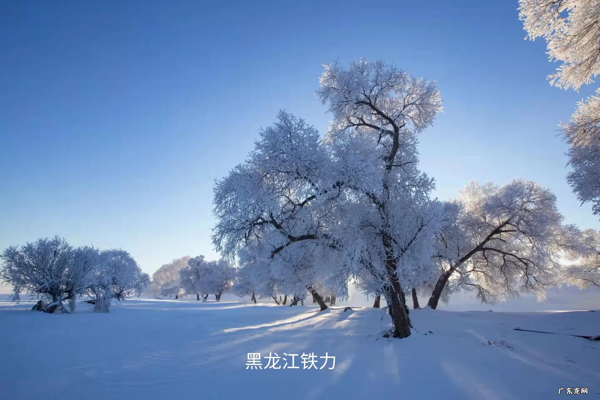 一篇写思念家乡的文章 思念家乡的文章有哪些?