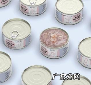 猫森林猫粮质量怎么样 猫森林猫罐头怎么样