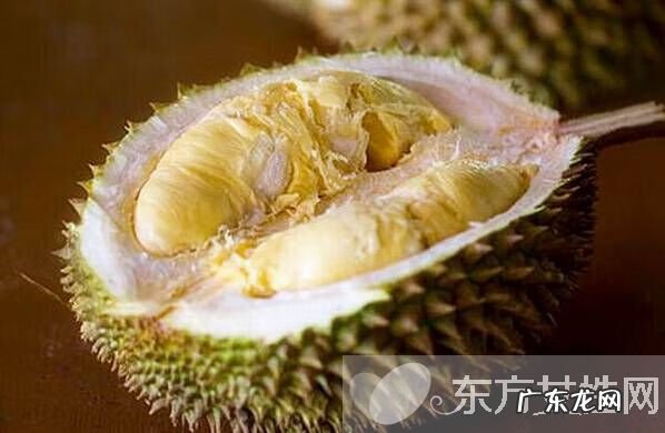 孕妇可以每天吃梨吗 孕妇能吃梨吗 孕早期