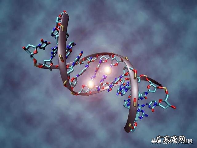 你所知道的,近代都有哪些真实离奇的案件发生?