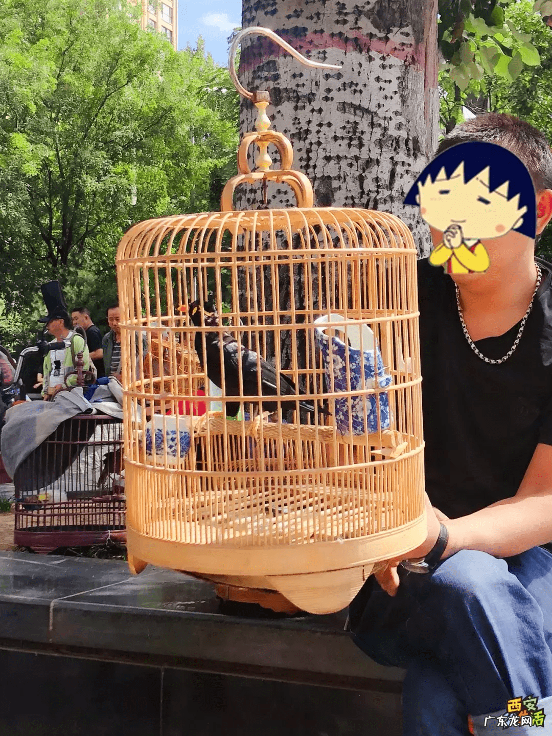 西安宠物用品批发公司 西安宠物用品批发市场