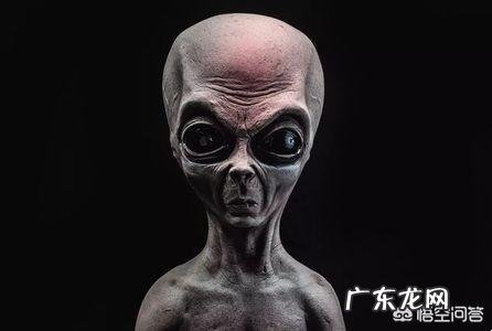 好女人的标准是什么?是什么都听老公的吗?