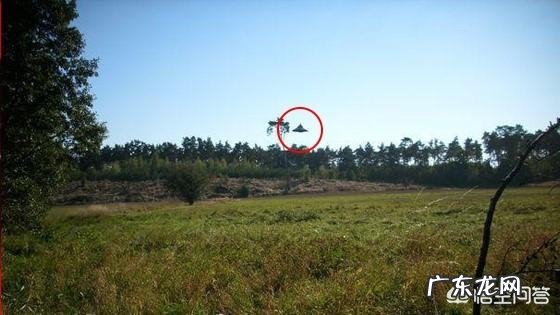 你有没有亲眼见过不明飞行物？