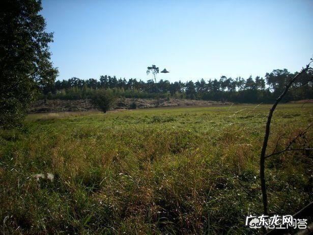 你有没有亲眼见过不明飞行物?