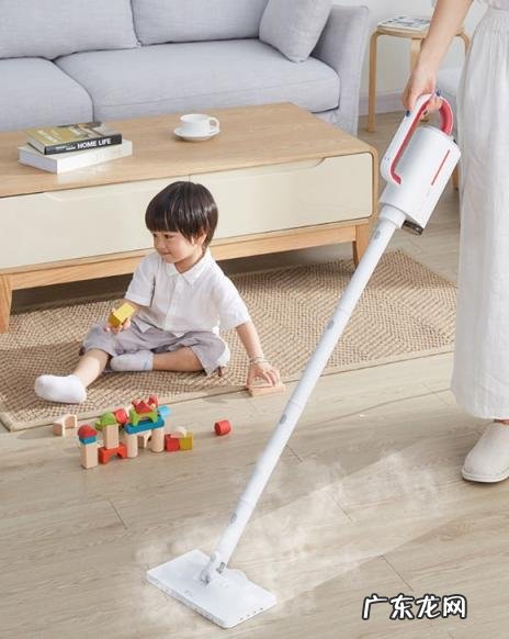 德尔玛蒸汽吸尘器 德尔玛蒸汽清洁机真的有用吗知乎