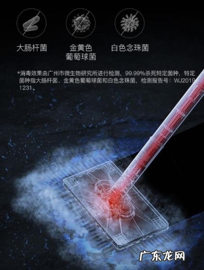 德尔玛蒸汽吸尘器 德尔玛蒸汽清洁机真的有用吗知乎