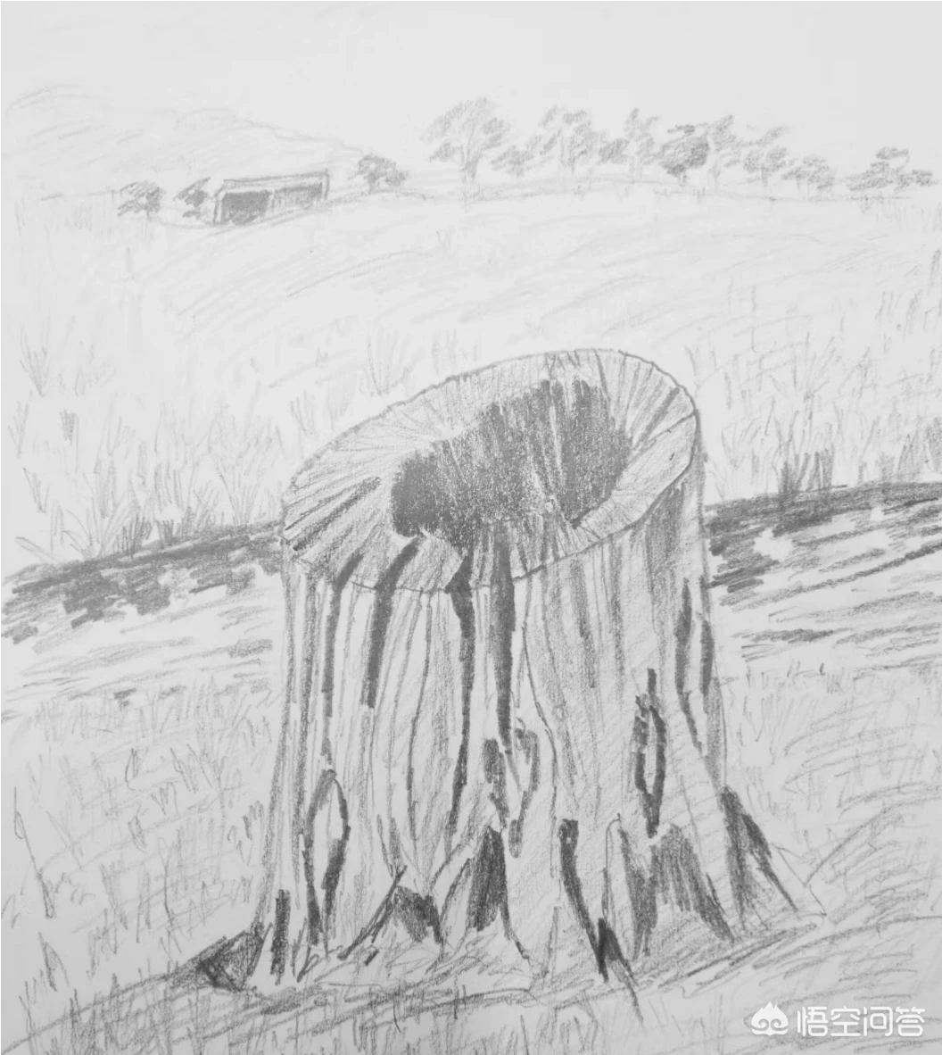 你有没有亲眼见过不明飞行物?