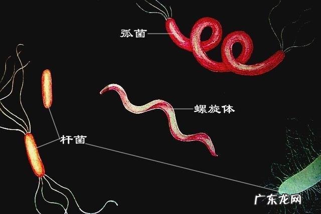 有艾滋病的女人下面有什么症状 性疾病是什么病