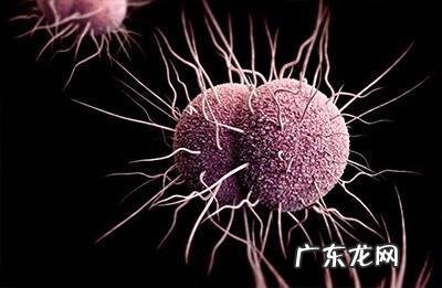 有艾滋病的女人下面有什么症状 性疾病是什么病