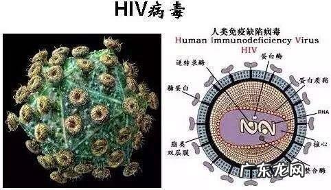 有艾滋病的女人下面有什么症状 性疾病是什么病