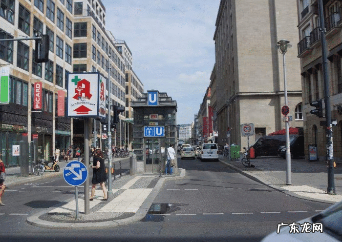 马路边绿化带植物 马路的绿化带