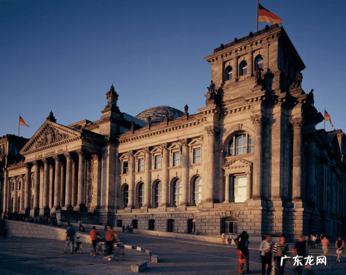 马路边绿化带植物 马路的绿化带