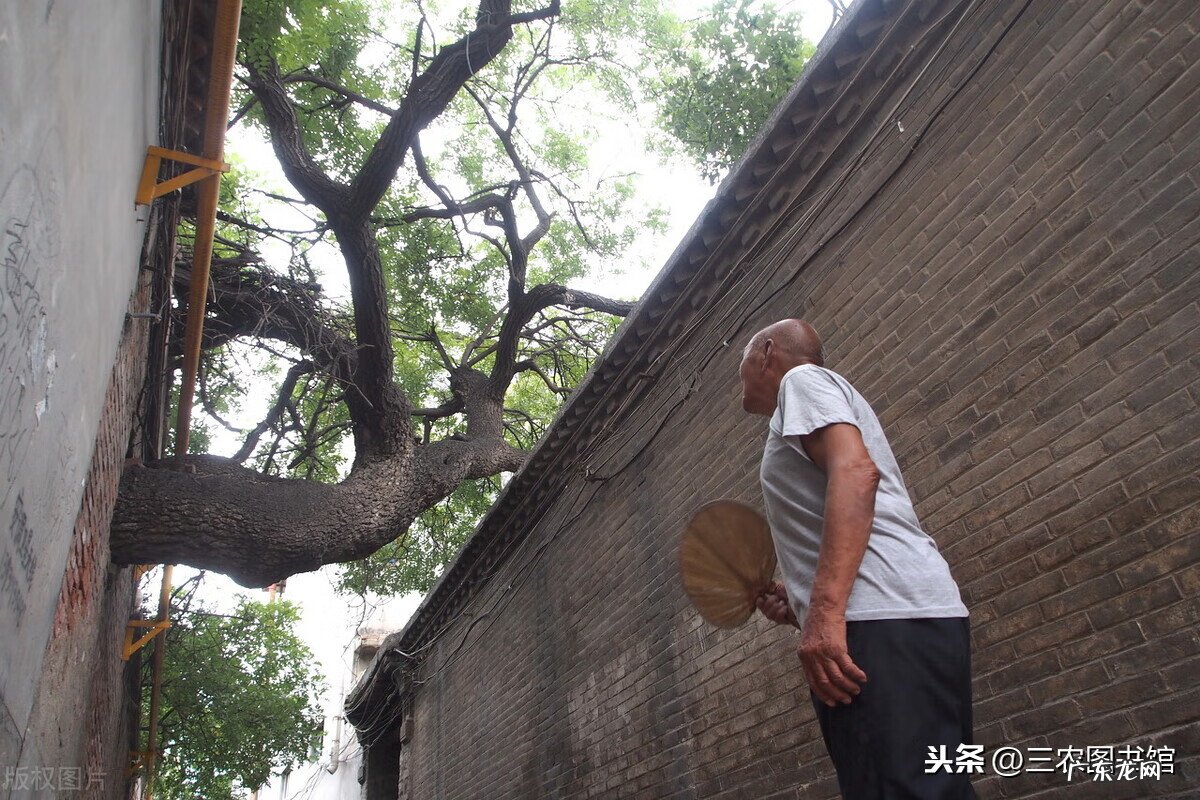 门前垃圾风水化解 大门被挡住风水