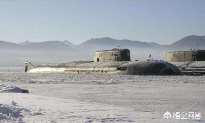 常规动力潜艇与海洋最大生物对撞，哪方会获胜？为什么，如果不能，核潜艇呢？