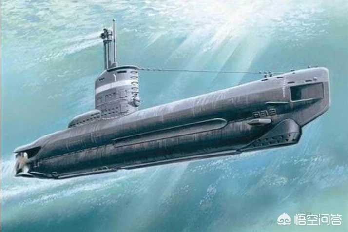 常规动力潜艇与海洋最大生物对撞，哪方会获胜？为什么，如果不能，核潜艇呢？