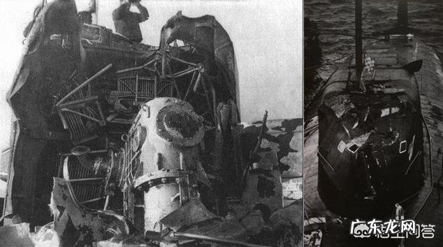 常规动力潜艇与海洋最大生物对撞，哪方会获胜？为什么，如果不能，核潜艇呢？