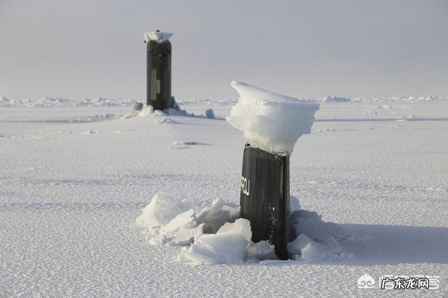 常规动力潜艇与海洋最大生物对撞，哪方会获胜？为什么，如果不能，核潜艇呢？