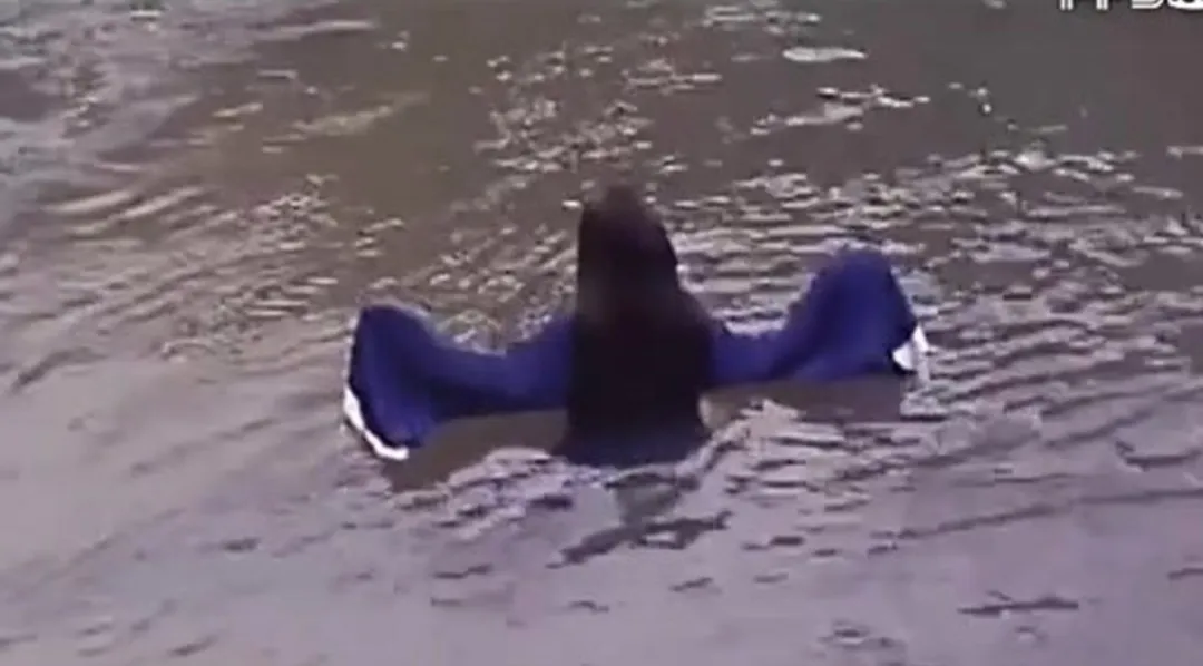 可以媲美山村老尸的香港恐怖片推荐一下?