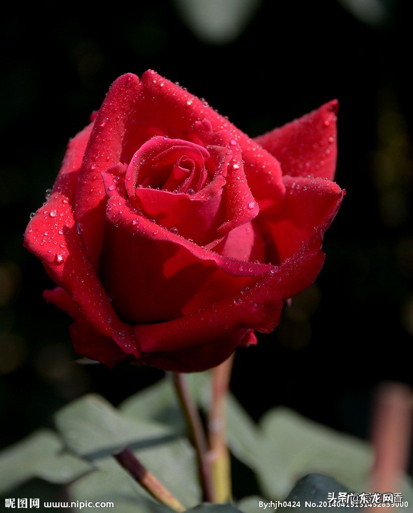 失眠最大的原因是什么?