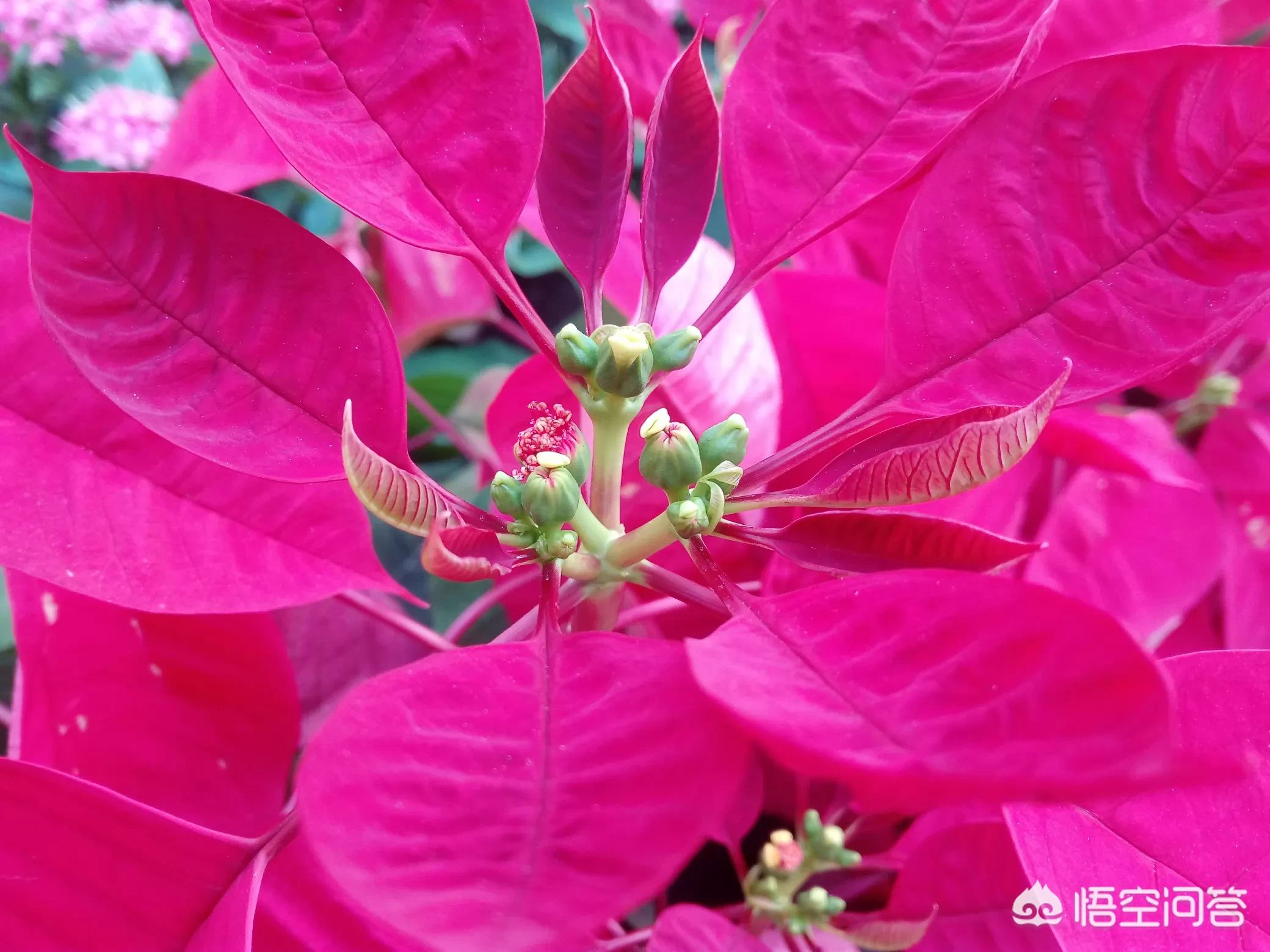 学生时代和同桌发生过什么趣事?