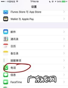 vivo拨号键输入什么显示本机号码 苹果手机输入*#06#