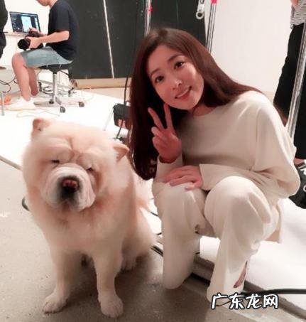 传闻中的七公主演员表介绍朴海镇 传闻中七公主演员