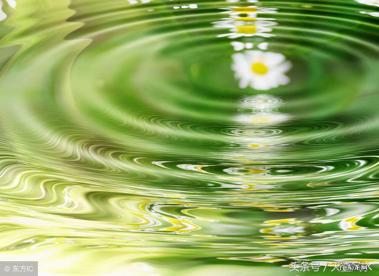 湖北出帝王的风水宝地 三合风水排龙诀