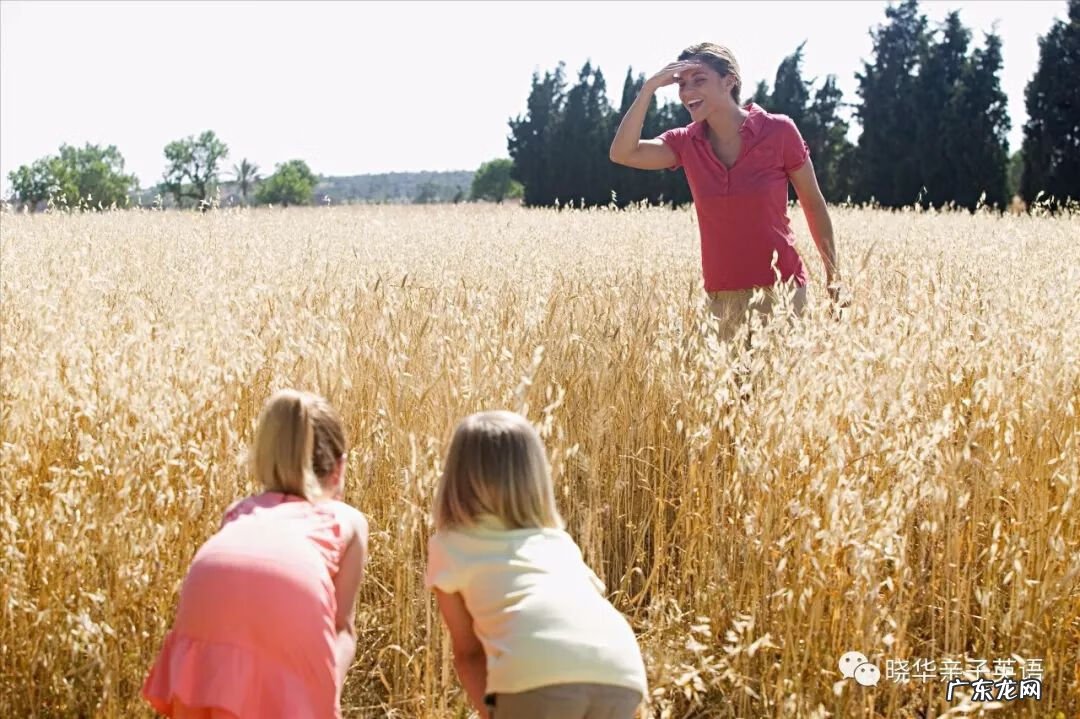 简单的英语小游戏 英语小游戏有哪些